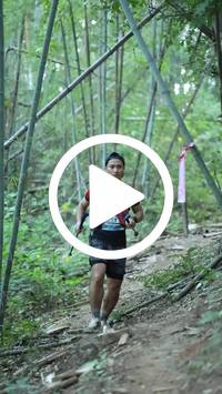 BIB:  <button type="button" onclick="openModal(28038713)" class="btn btn-primary btn-sm float-right" data-toggle="modal" data-target=".modal-high-quality">
                <i class="fa fa-download"></i> Download
                </button>